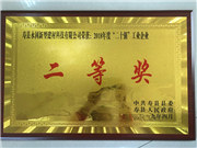 公司荣誉