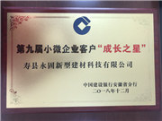 公司荣誉